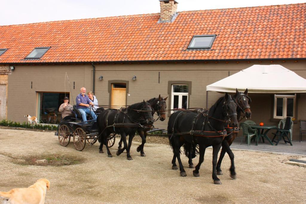 B&B Crijbohoeve Zutendaal Exteriér fotografie